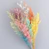 Portable Lightweight Artificial Plant Natural Flowers Cute Lovely Dry Grass Bouquet for Living Room Wedding Home