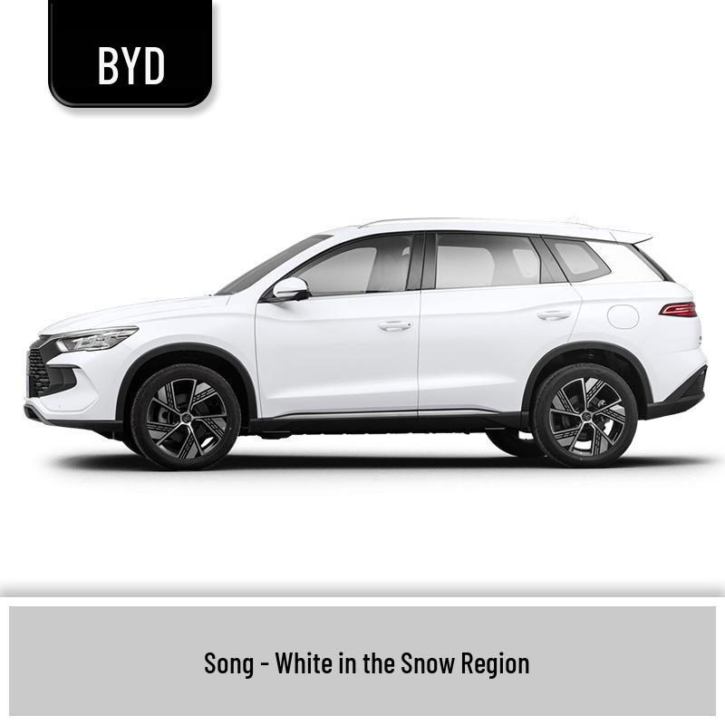 BYD Song Scratch Repair Touch-up Paint Pen - Snow Field White & Mountain Range Gray