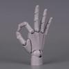 1:2 Scale Human Hand Model Mini Size Movable Joints Palm Model Twisted Egg Design With Posable Fingers Simulation Palm