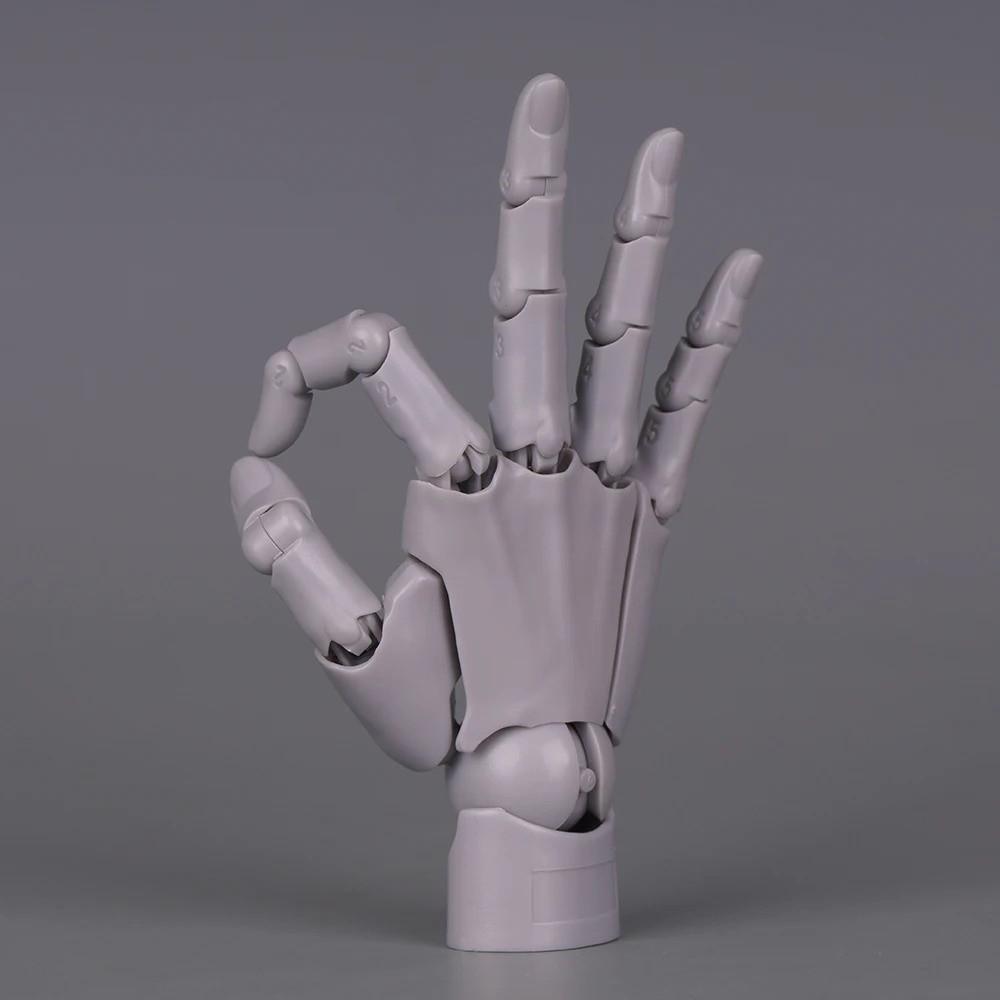 1:2 Scale Human Hand Model Mini Size Twisted Egg Design Palm Model Movable Joints With Posable Fingers Movable Finger Joints