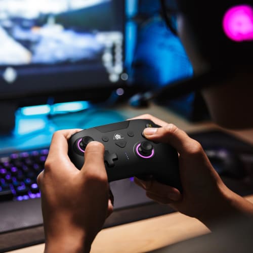 Switch Controller, Automatic Fire Function, Back Button Included, Macro Function, Bluetooth Connection, 6-axis Gyro Sensor, 7-color RGB Light, 1000mAh