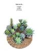 Huashe Red Air Succulent: Creative Faux Green Plant for Home Décor