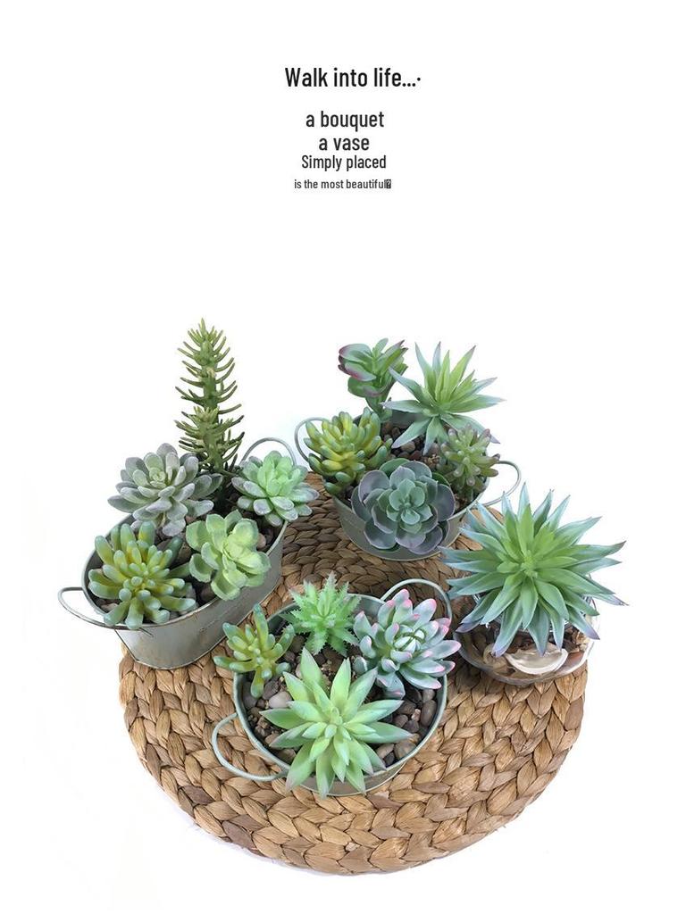 Huashe Red Air Succulent: Creative Faux Green Plant for Home Décor