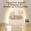 Xiaomi New TWS Noise-Cancelling Bluetooth Earphones Wireless Headphone In-Ear Hands-Free Headset With Microphone