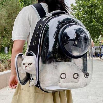 Sac à dos transparent monobloc pour animaux de compagnie pour chiens et chats