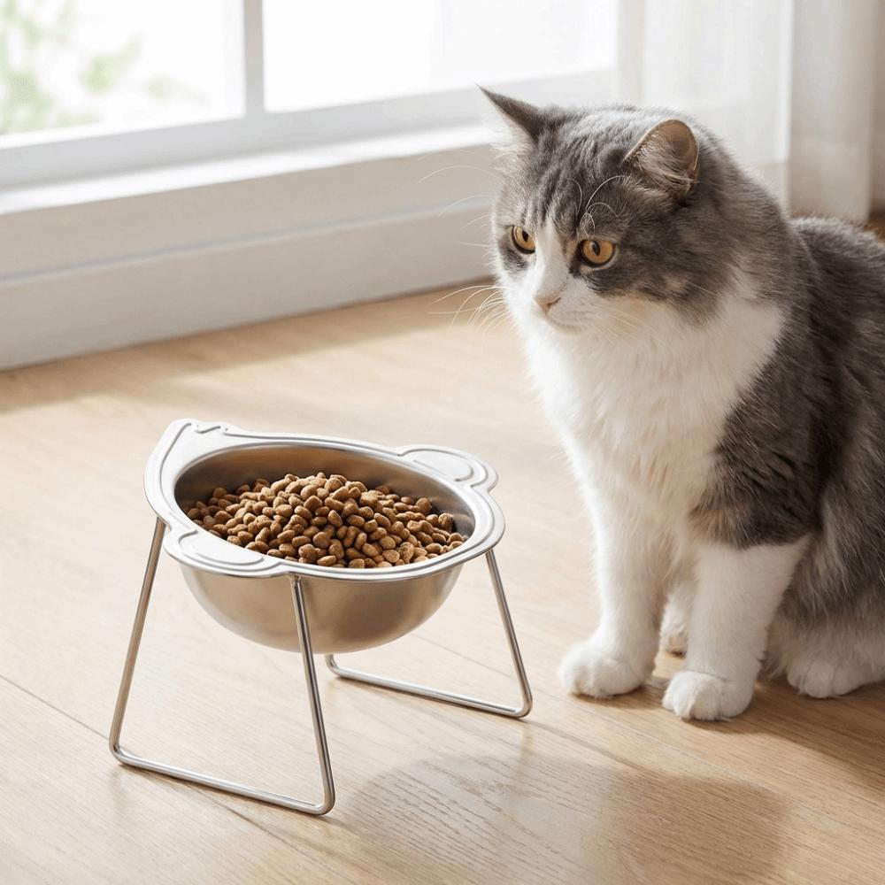 Stainless Steel Elevated Pet Bowl 15 Degree Inclined Pet Feeder Container  Wet Dry Food