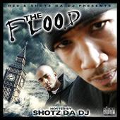 

CD H2O, SHOTZ DA DJ - The Flood NONE Not On Label Europe Rap & Hip-Hop/R&B Used