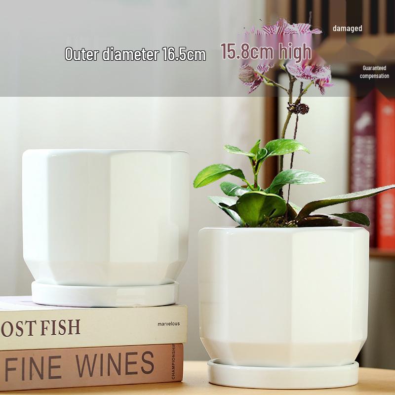 Elegant White Ceramic Flower Pot with Tray - Ideal for Ivy, Spider Plants, and Succulents