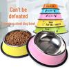 Anti-Spill Stainless Steel Pet Bowl for Dogs & Cats - Available In Small & Large Sizes