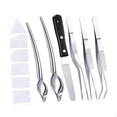 Tweezers Tong Plating Tool Set Portable Sauce Drawing Spoon Scrapers Culinary Precision Tongs for