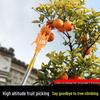 Telescopic Pole Fruit Picker: Yangmei, Loquat, Plum, Persimmon, Apricot, Peach High-Altitude Tool