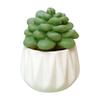 Mini Artificial Cactus and Bonsais Figure Resins Succulent Faux Potted Plant Figurine for Home and Office Desktop Decors