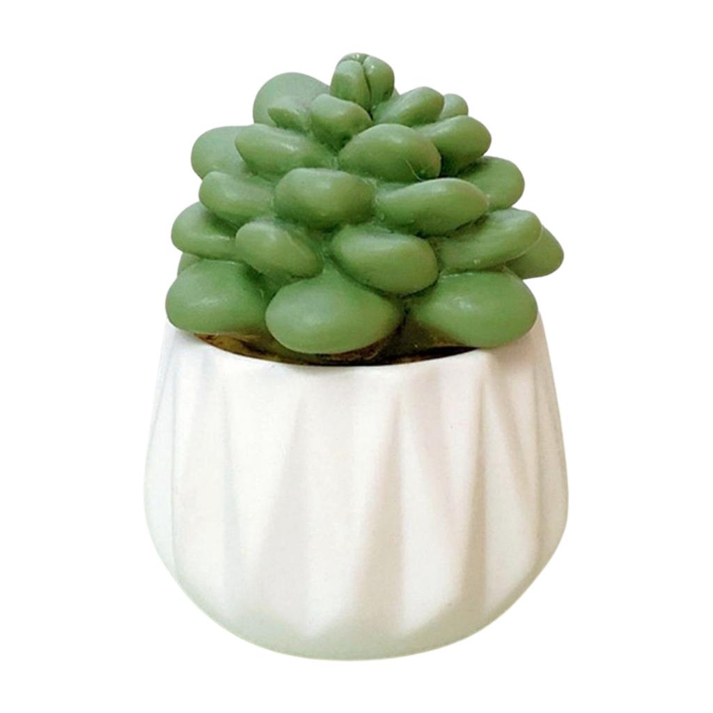 Mini Artificial Cactus and Bonsais Figure Resins Succulent Faux Potted Plant Figurine for Home and Office Desktop Decors