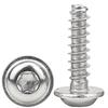 304 Edelstahl Selbstschneidende Schrauben, Pflaumenblüten-Schlitz, Unterlegscheiben-Flachkopf, Größen M3/M4/M5