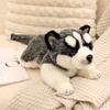 Simulation Pet Husky Corgi Plush Toy Cute Cartoon Animal Labrador Stuffed Doll Home Decor Gifts For Girl