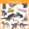 Coleccionables y modelos – Modelos