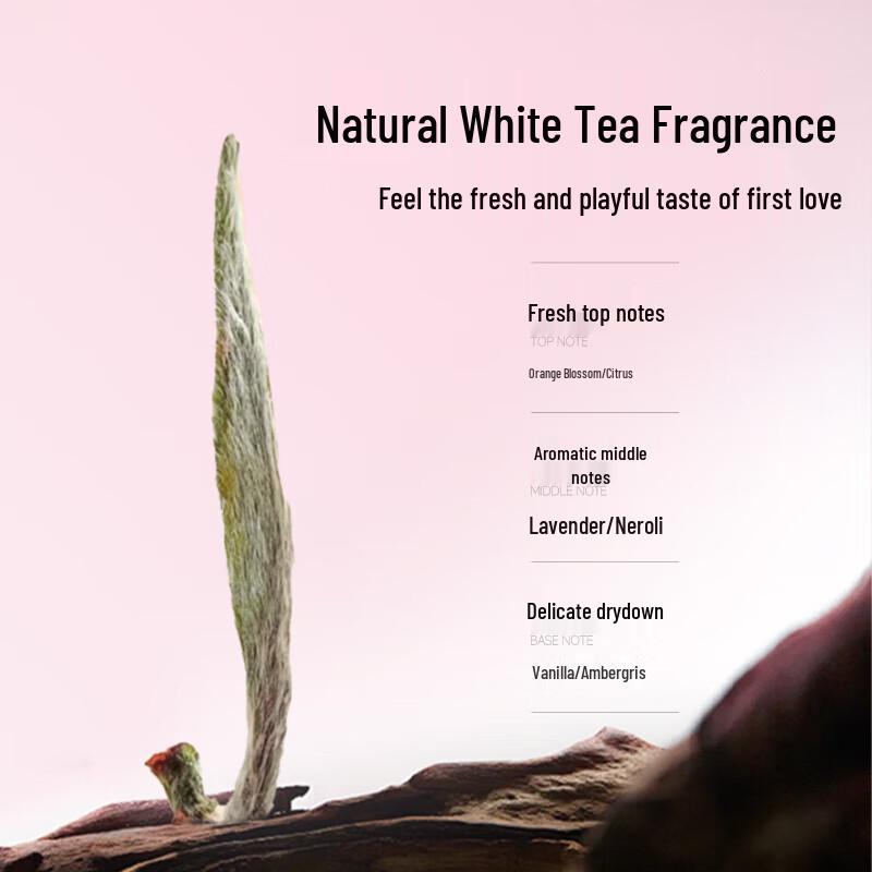 JVR Scented Airy Volumizing Hair Spray Set