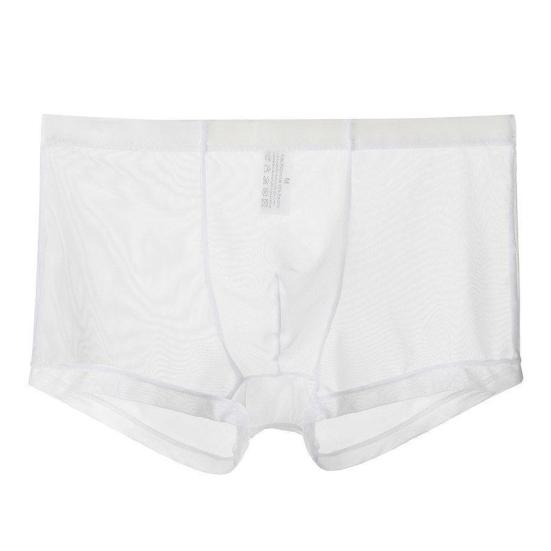 Men Boxers Breathable Elastic Mesh Low Waist Ice Silk Cooling Anti-septic See-through Men