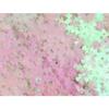 Sachet de sequins - EMINZA - Flocons Hologramme - Blanc irisé - 50 g - 2 cm