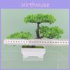 Plumosus Baker Apargus Plastic Faux Bonsai For Indoor Decoration Tabletop