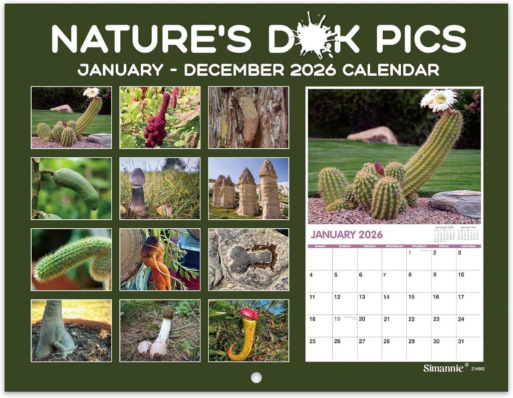 2026 Kalender Dekorativer Kaktus-Kalender Kaktus-Streichkalender mit 12 lustigen Kaktus-Illustrationen Bürodeko-Geschenk