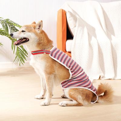 Hunde – Hundepflege-Artikel