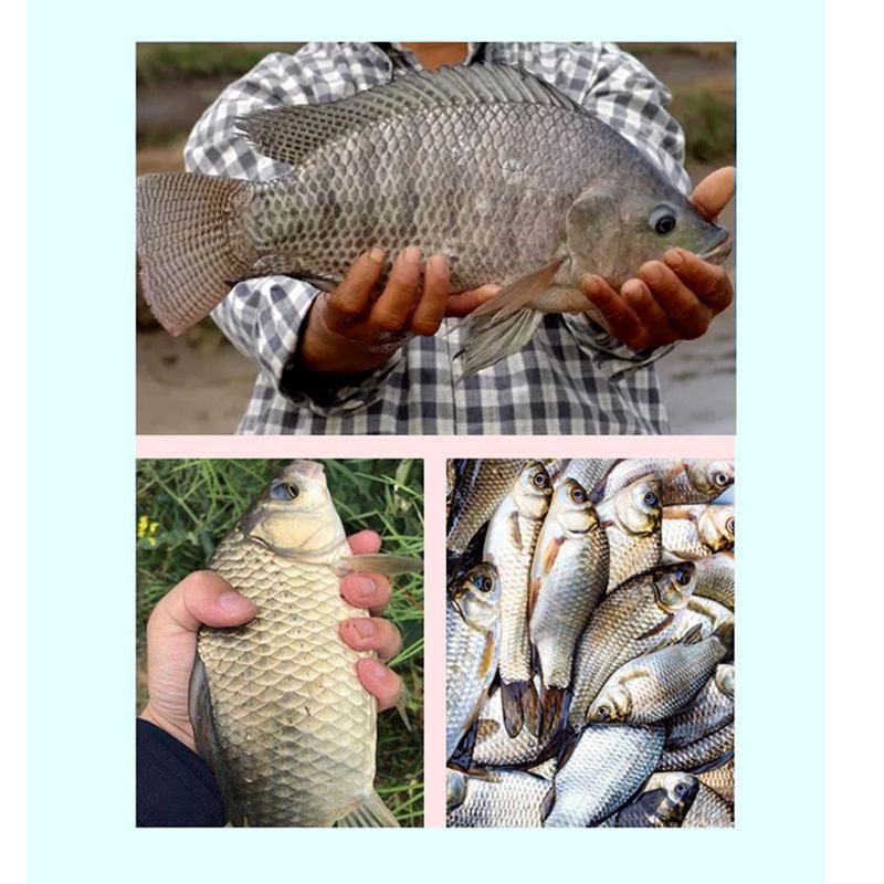High Sensitivity Dual-Use Electronic Fishing Float for Crucian Carp and Tilapia - Day/Night Bright, Hard Tail Design for Wild & Black Pit Competition