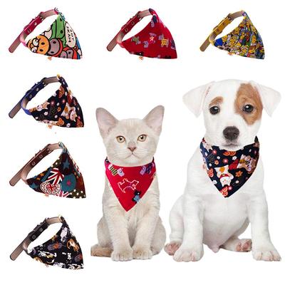 Giyim ve ayakkabı – Köpek Aksesuarları