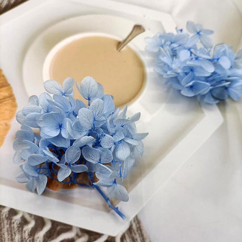 Blue Series Dried Flower DIY Kit: Hydrangea, Thousand-Layer Gold, Eucalyptus Leaf Souvenir Decoration