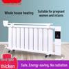 Energiesparender elektrischer wassergefüllter Heizkörper für Zuhause und Nordheizung