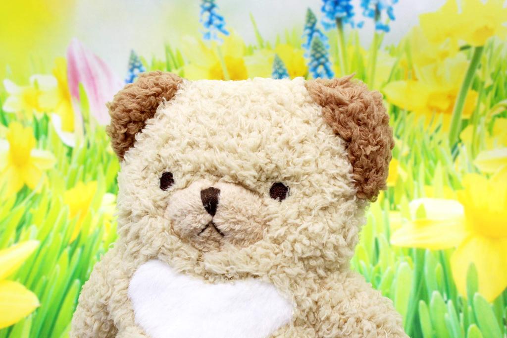 Shinada Global Fumofumo-san Classic Beige (M) 10 x 5 x 20 cm Plush Toy Goods Animal Goods FMCL-0100E
