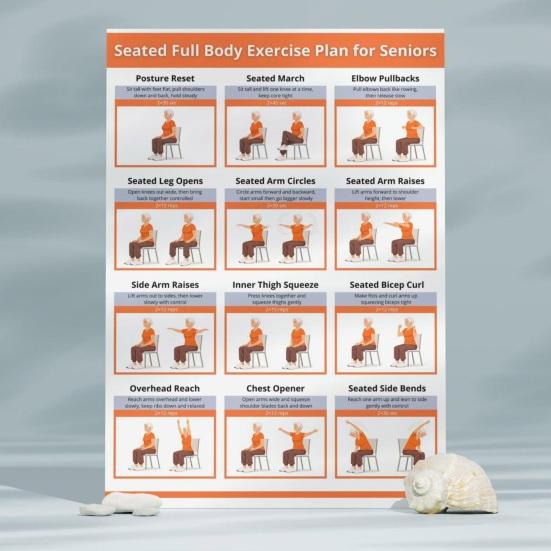 Yousheng 2Pcs Full Body Seated Stretching Poster Chart for Seniors Chair Exercise Routine Guide for Elderly Low-Impact Flexibility Workout Plan for