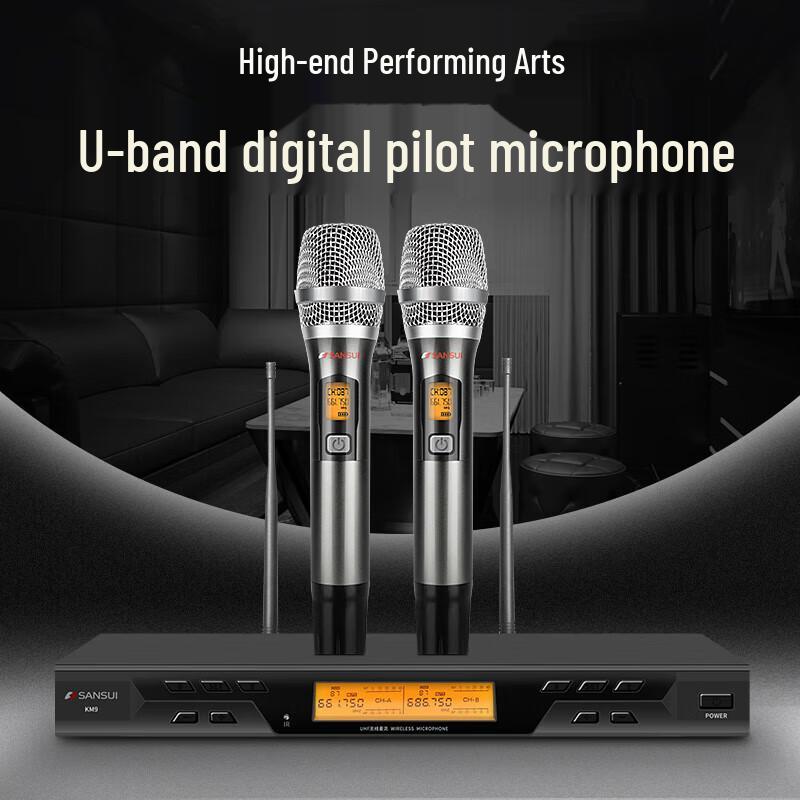 Sansui KB9 Professional Home KTV System