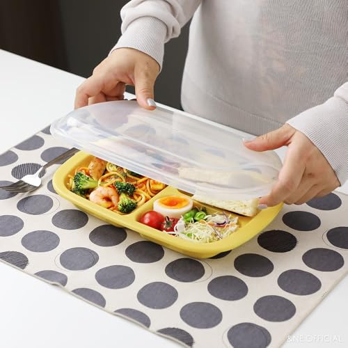 &NE Rakura Recopo Lunch Plate, Yellow, 26cm Wide X 18cm Deep X 5cm High, Divided, Made In Japan, with Lid, Antibacterial, Dishwasher Safe, Microwave S