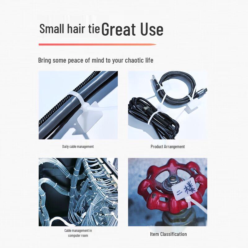 Shanze Self-Locking Label Cable Ties