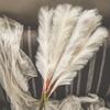 4 Pack 80cm Fake Pampas Fluffy Artificial Pampas Grass Table Vase Decoration Large Bouquet Home Wedding Party Birthday Mother's Day Decoration