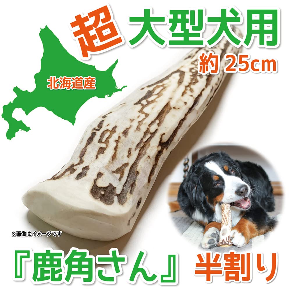 Shikakusan Deer Antler Dog Toy for Extra Large 1 Hokkaido Ezo Dental Extra Large Split Dogs, Half-Split, Piece, Deer, Natural, Additive-Free,