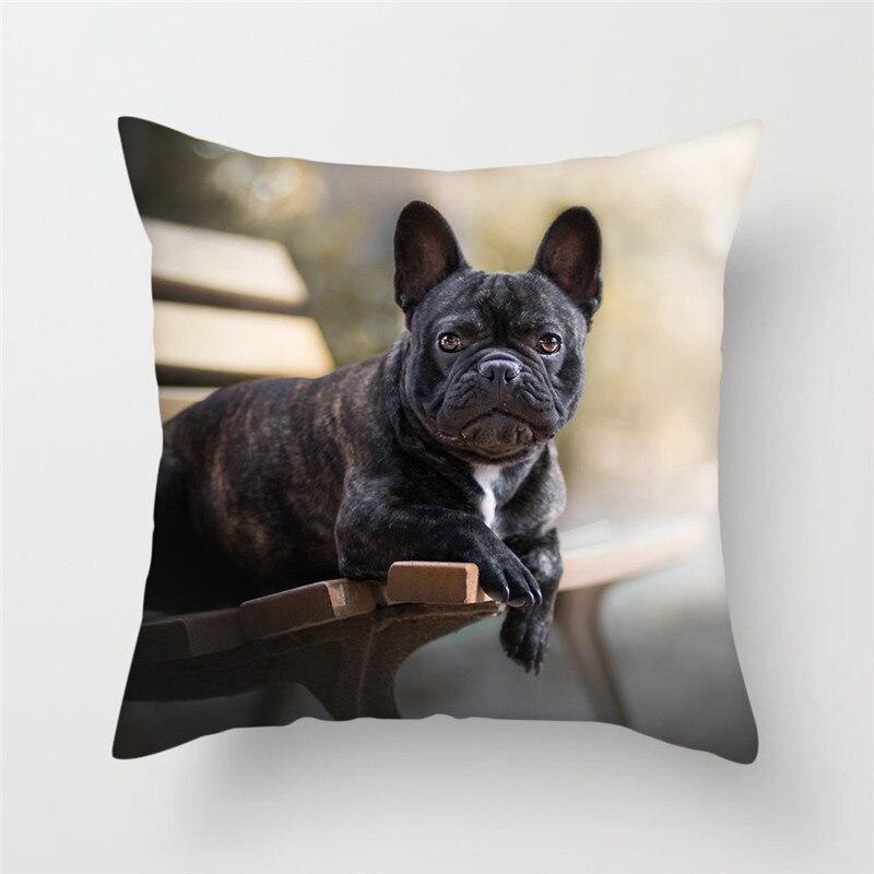 best back support cushions