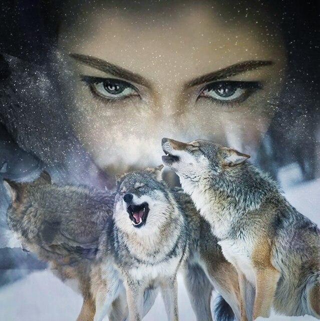 

Новое поступление Алмазная вышивка волк животное мозаика горный хрусталь картина комплект алмазная живопись женские ремесла украшение дома Full Round 50x50CM