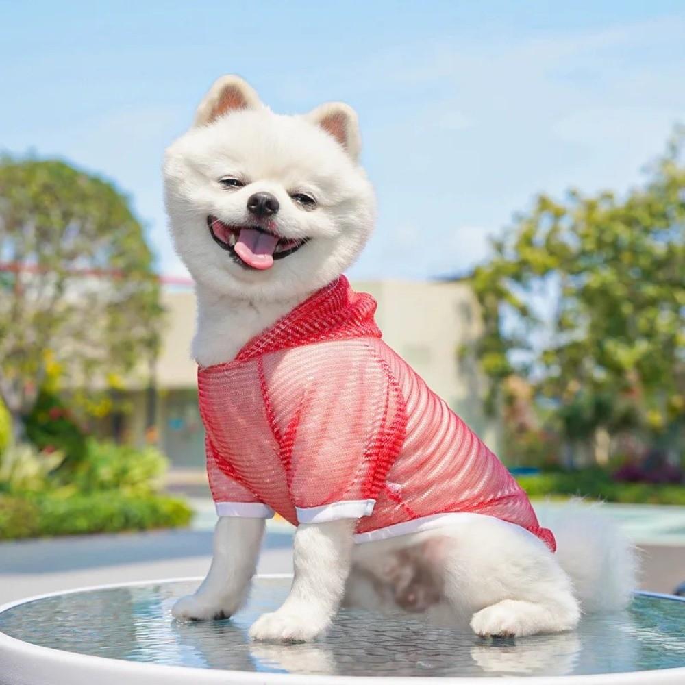 Tissu Fin Maille Vêtements pour Chien Séchage Rapide Protection UV Prévention Moustiques Sweat à Capuche Style Pull Chiot Protection Solaire Chemise