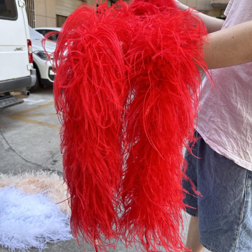 2M Red Ostrich Feathers Boa 1-10Ply Thick Natural Feather Shawl for Wedding Clothing Decoration Sewing Plumes Crafts Accessory