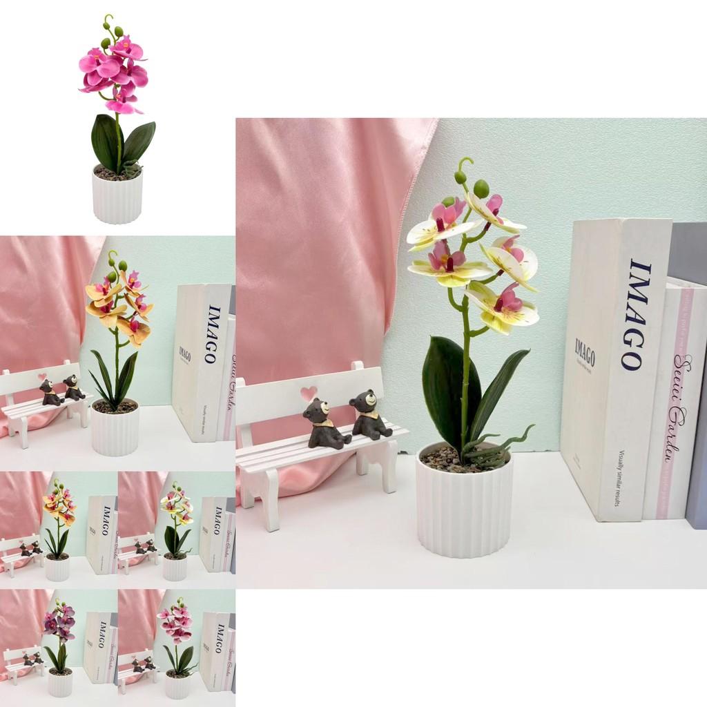 Indoor Orchid Plant Artificial Greenery For Wedding Home And Commercial Spaces