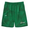 FINTA Soccer Graphic Practice Pants FT4110 (3100) Green