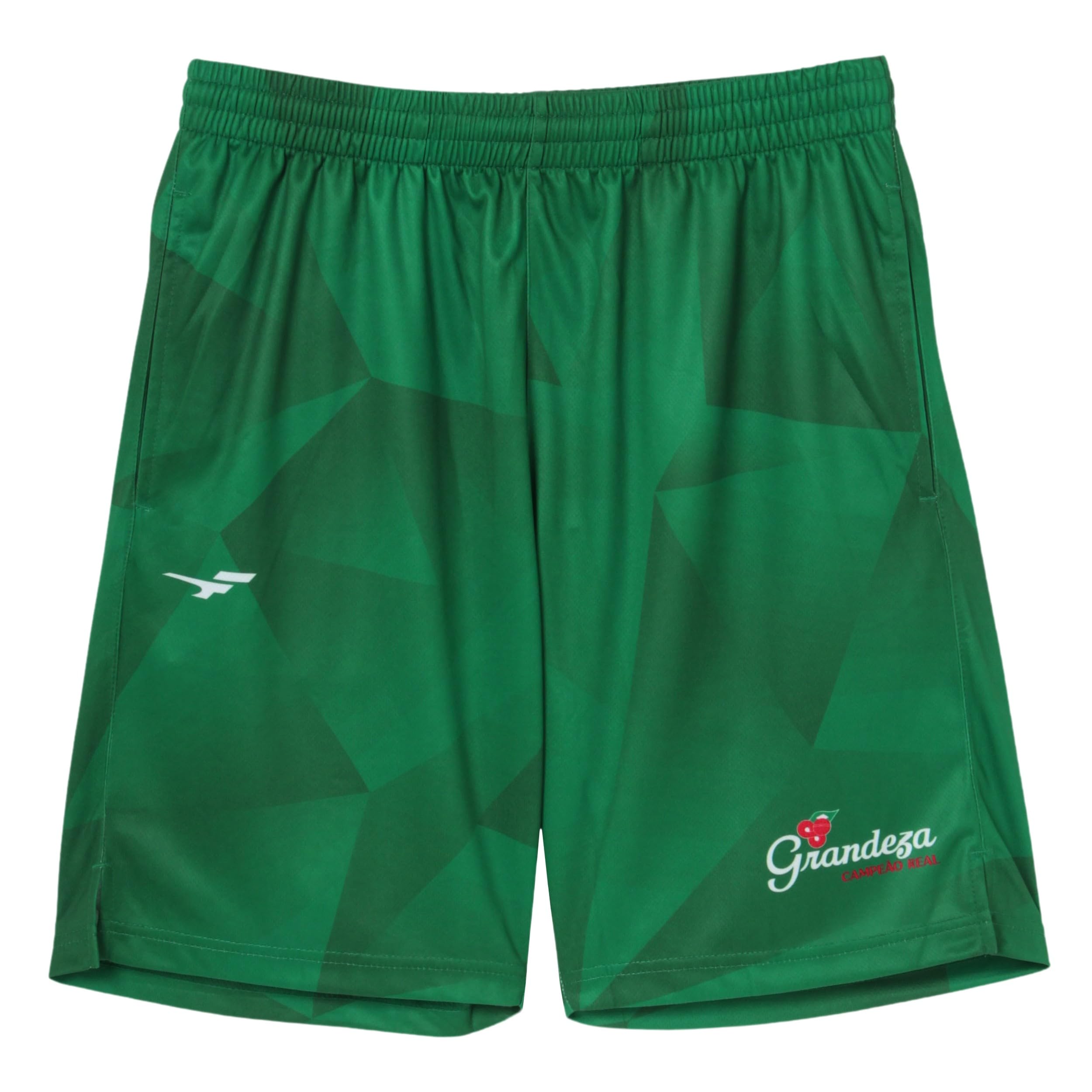 

FINTA Футбольные графические тренировочные штаны FT4110 (3100) зеленый