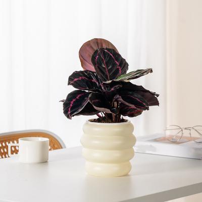Decorazioni per la casa – Vasi di fiori decorativi