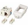 RJ45 Data Connector - BTICINO - AM5962C6 - Category 6 UTP - 110 IDC - White