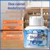 Magic Box Anti-Odor Shoe and Wardrobe Deodorizer
