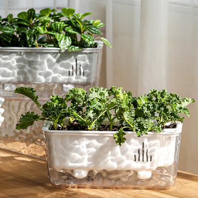 Vasi e fioriere da giardino – Contenitori per piantine