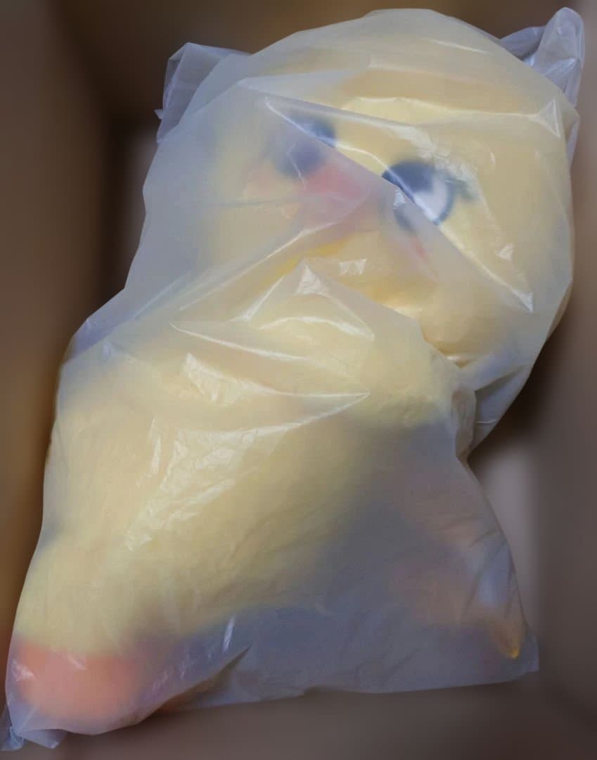 

[Б/У] StrayKids skzoo Плюшевая сумка Погари