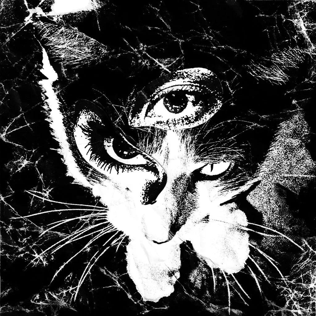 CD / TOKYO SHOEGAZER Remains